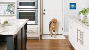 give your dog and cat freedom to